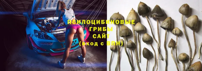 Псилоцибиновые грибы Magic Shrooms  shop телеграм  Видное  магазин   